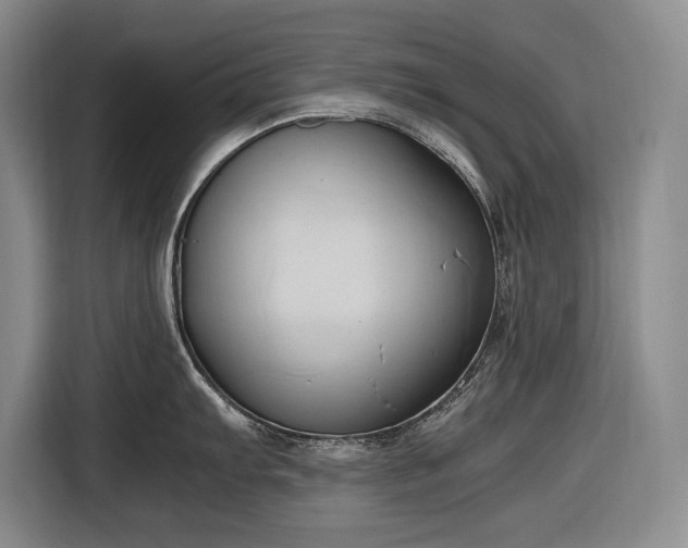 X0000116681103200912211619