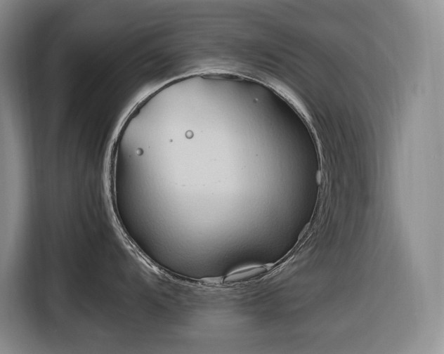 X0000116681104200912211619