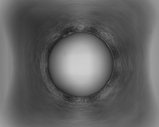 X0000116681105200912211618