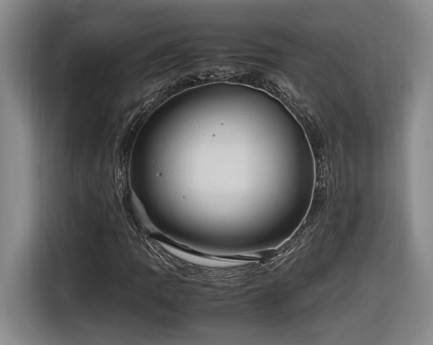 X0000116681109200912211618