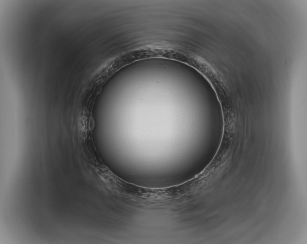 X0000116681110200912211618