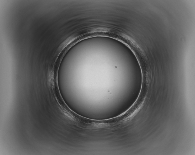 X0000116681113200912211618