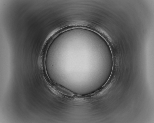 X0000116681114200912211618