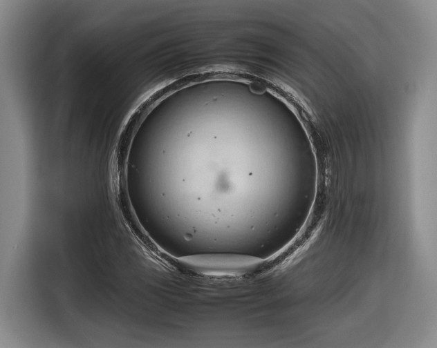 X0000116681117200912211618