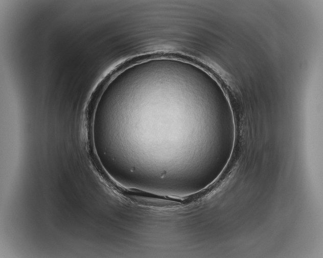 X0000116681118200912211618