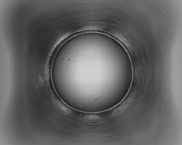 X0000116681119200912211618