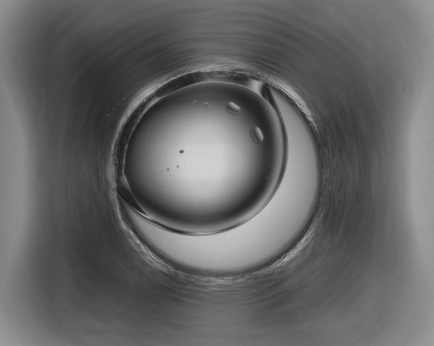 X0000116681122200912211618