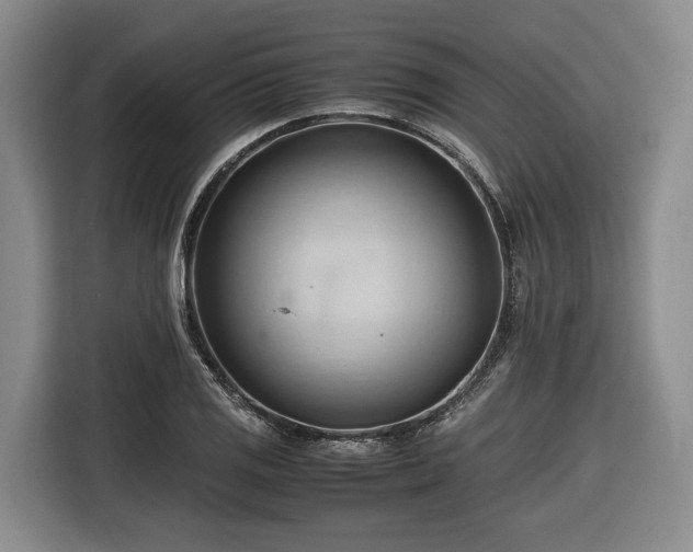 X0000116681125200912211618