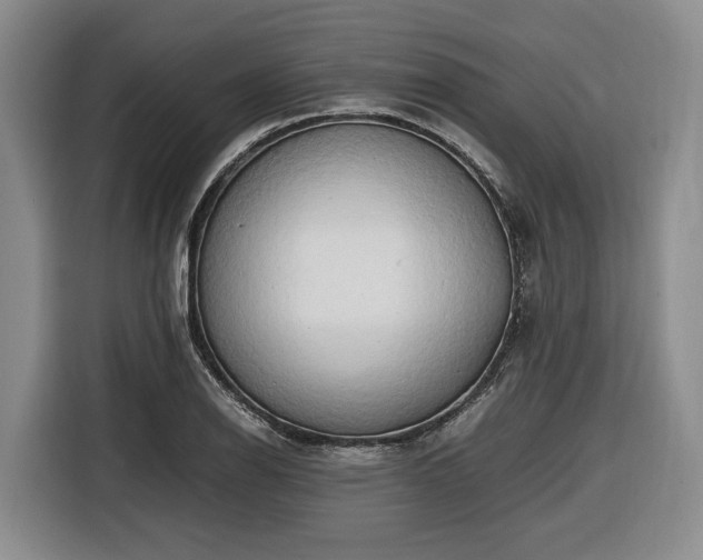 X0000116681126200912211618