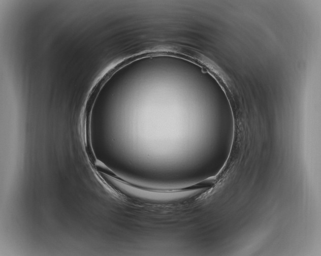 X0000116681127200912211618