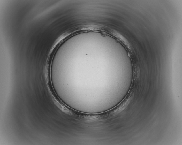 X0000116681130200912211618