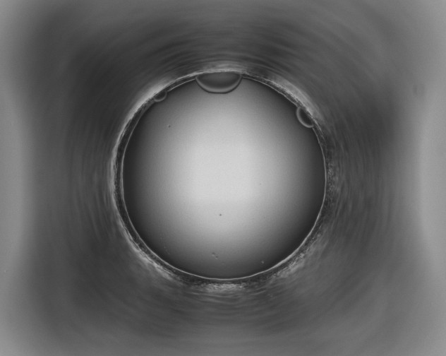 X0000116681135200912211618