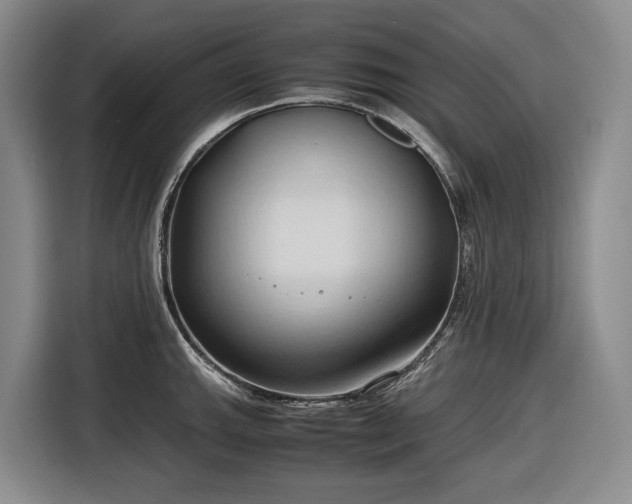 X0000116681143200912211618