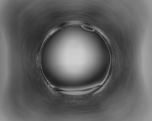 X0000116681145200912211619