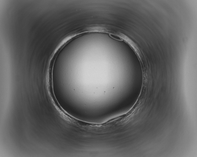 X0000116681147200912211619