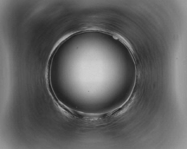 X0000116681149200912211619