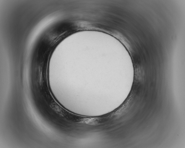 X0000116681150200912211619