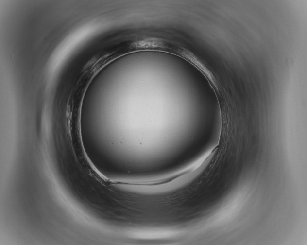 X0000116681151200912211619