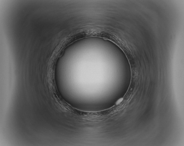 X0000116681153200912211618