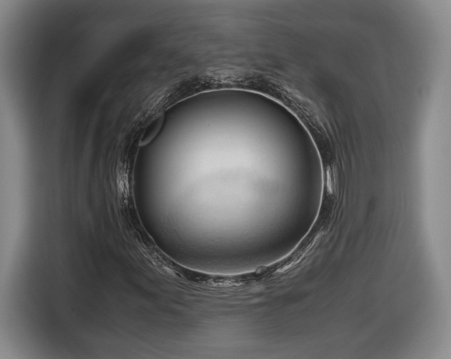 X0000116681155200912211618