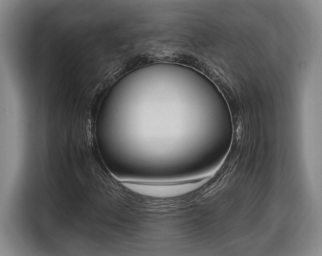 X0000116681156200912211618