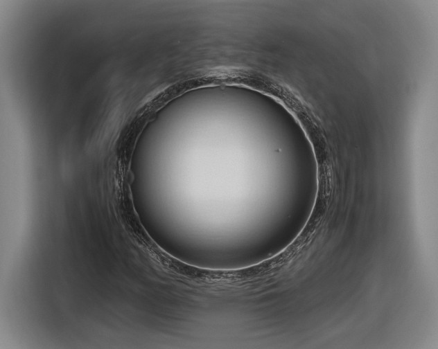 X0000116681158200912211618