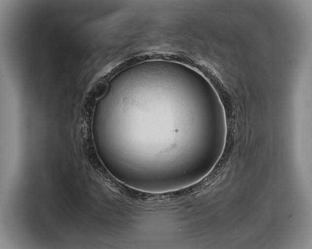 X0000116681159200912211618