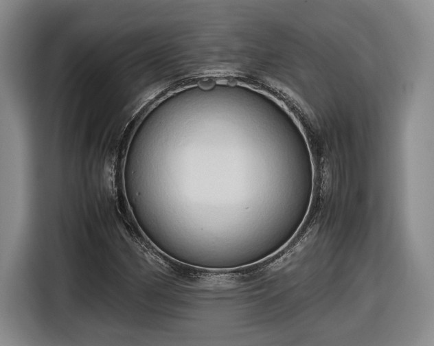 X0000116681162200912211618