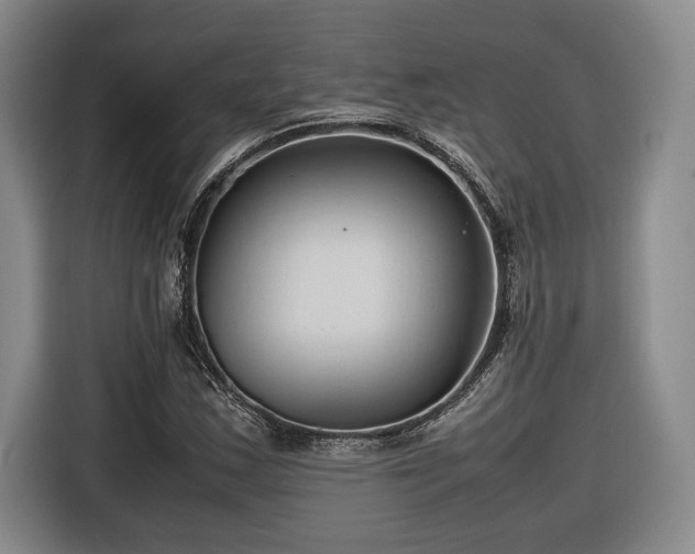 X0000116681163200912211618