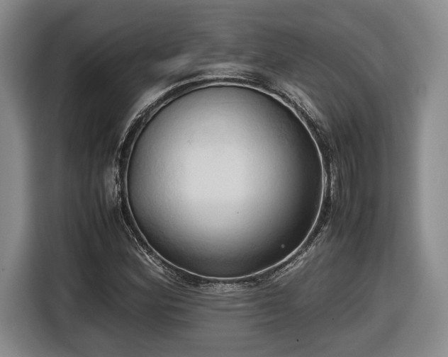 X0000116681164200912211618