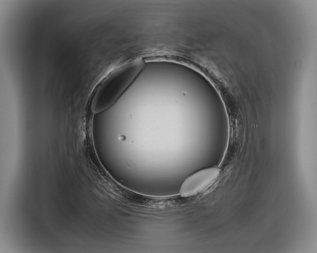 X0000116681165200912211618