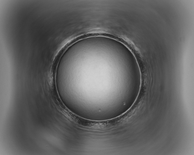 X0000116681167200912211618