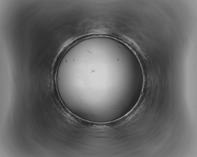 X0000116681168200912211618