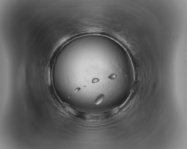 X0000116681171200912211618