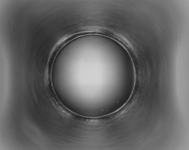 X0000116681172200912211618