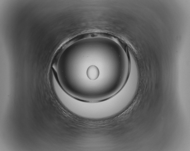 X0000116681173200912211618