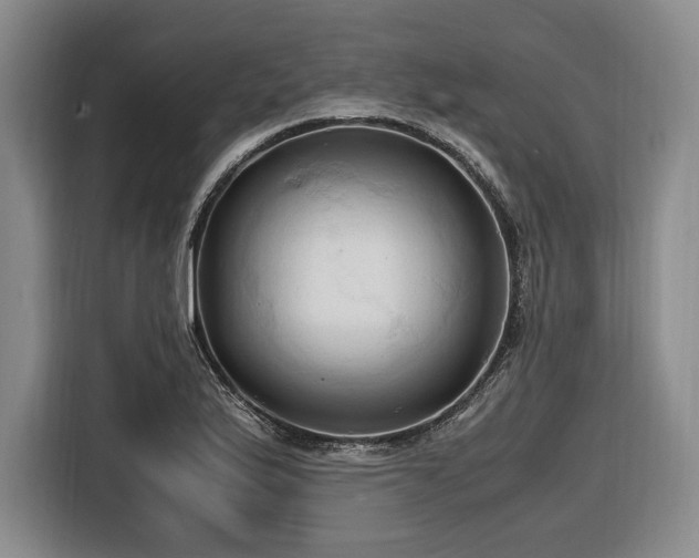 X0000116681175200912211618