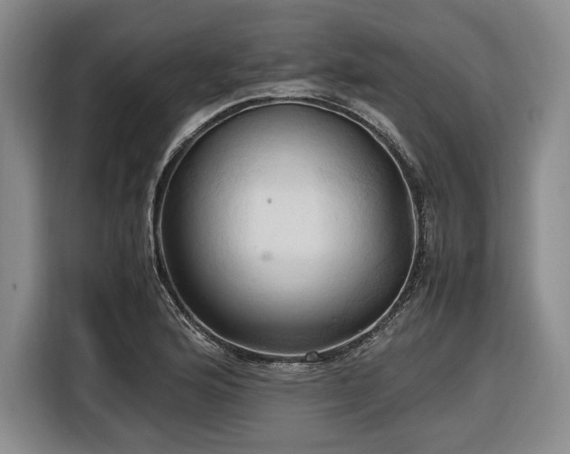 X0000116681176200912211618