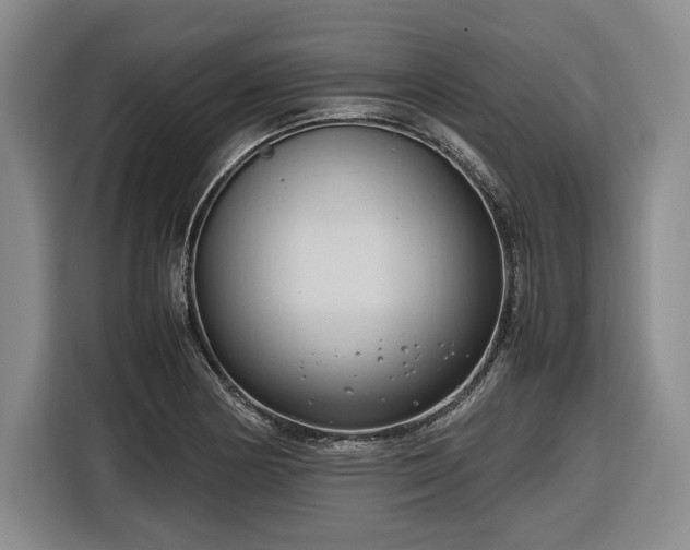 X0000116681178200912211618