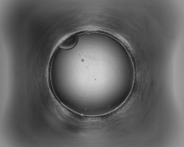 X0000116681183200912211618