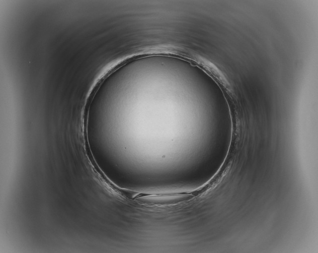 X0000116681184200912211618