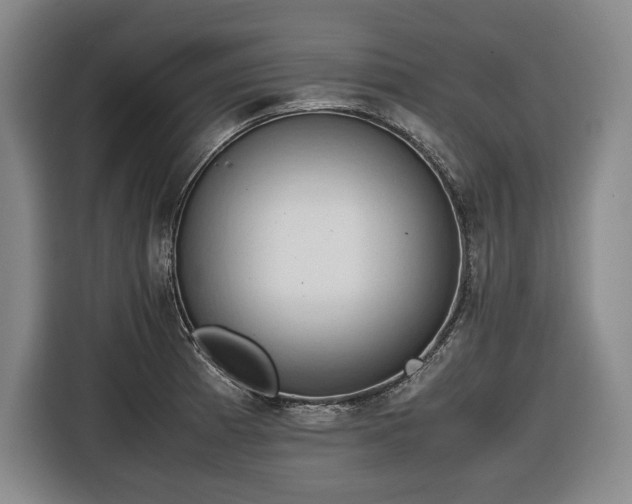 X0000116681185200912211618