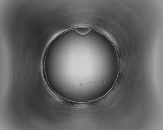 X0000116681187200912211618