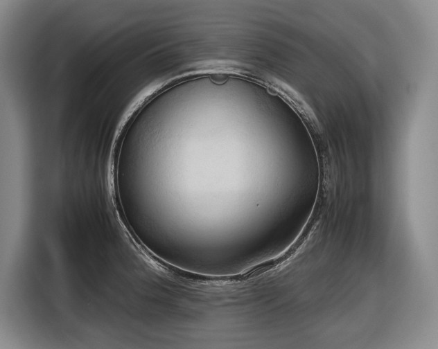 X0000116681188200912211618