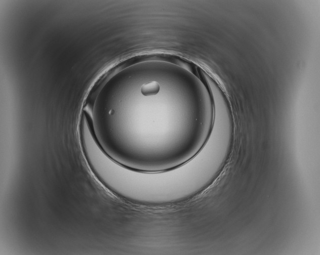 X0000116681189200912211618