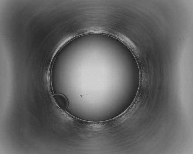 X0000116681190200912211618