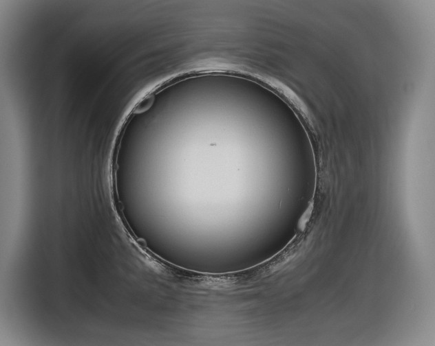 X0000116681191200912211618