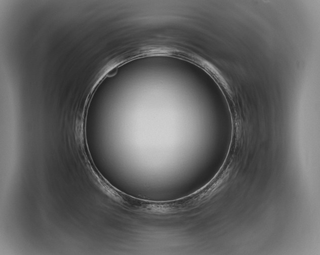 X0000116681194200912211617