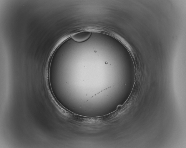 X0000116681195200912211617