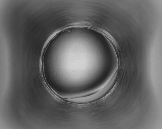 X0000116681196200912211617